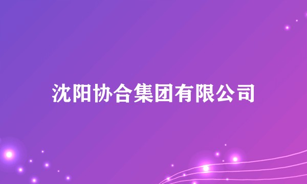 沈阳协合集团有限公司