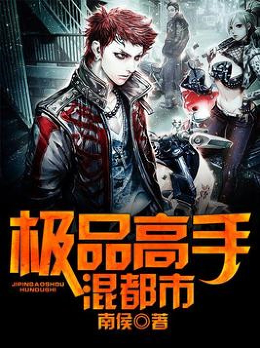 极品高手混都市（南侯所著小说）