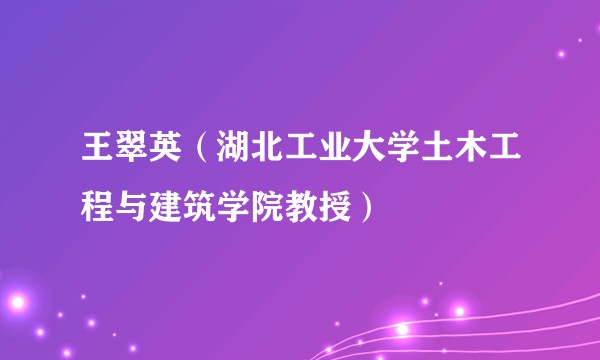 王翠英（湖北工业大学土木工程与建筑学院教授）