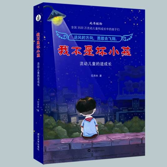 我不是坏小孩(2018年武汉大学出版社出版的图书)