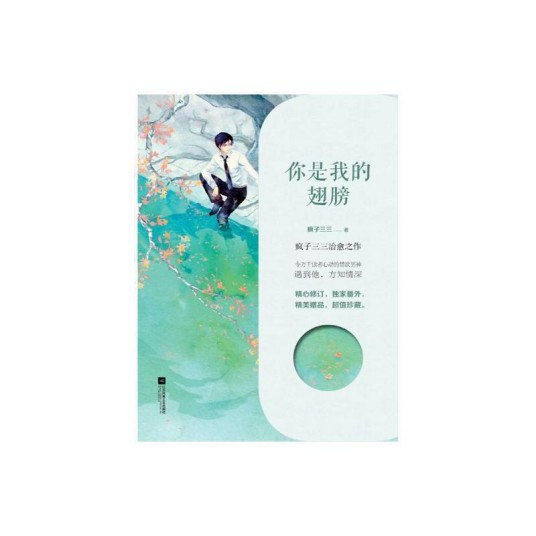 你是我的翅膀（2018年江苏凤凰文艺出版社出版的图书）
