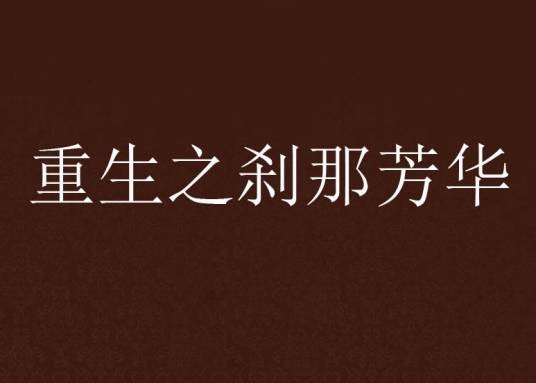 重生之刹那芳华