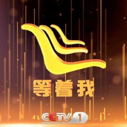 等着我（2010年跨国寻亲公益电视节目）