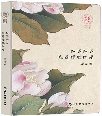 李清照：知否知否应是绿肥红瘦