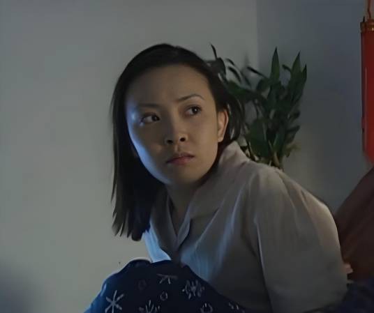 李梅（电视剧《征服》中的女主角）
