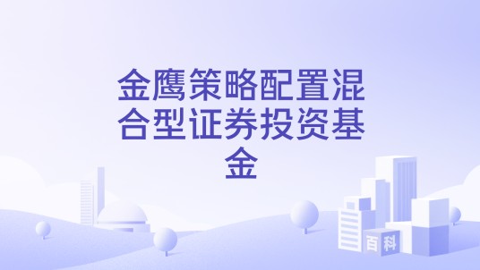 金鹰策略配置混合型证券投资基金