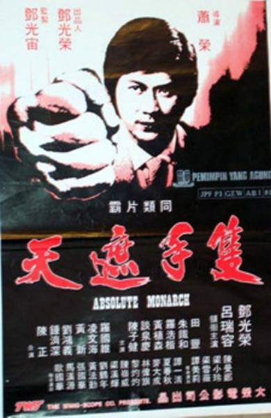 只手遮天（1980年萧荣执导的动作电影）