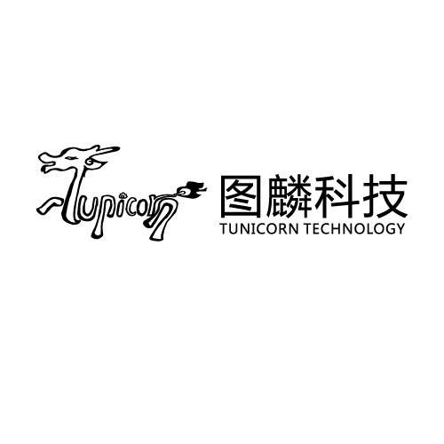图麟信息科技（上海）有限公司