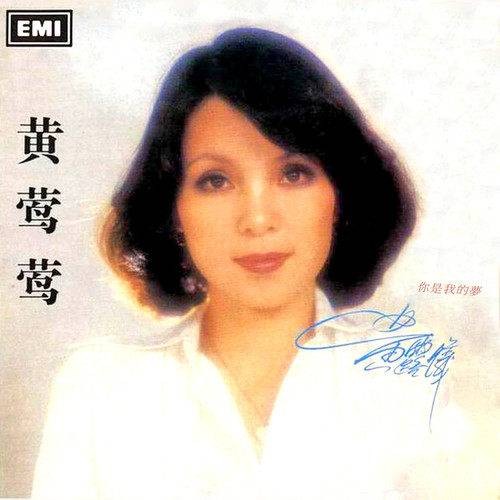 飞向蓝天(黄莺莺演唱的歌曲)