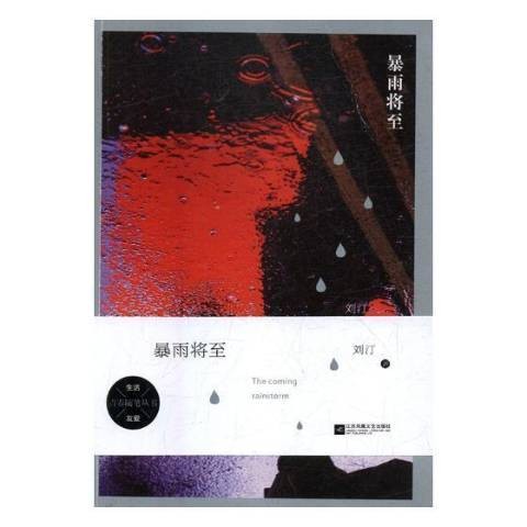 暴雨将至（2021年江苏凤凰文艺出版社出版的图书）
