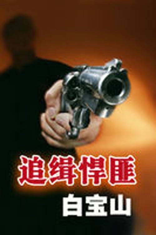 追缉悍匪白宝山