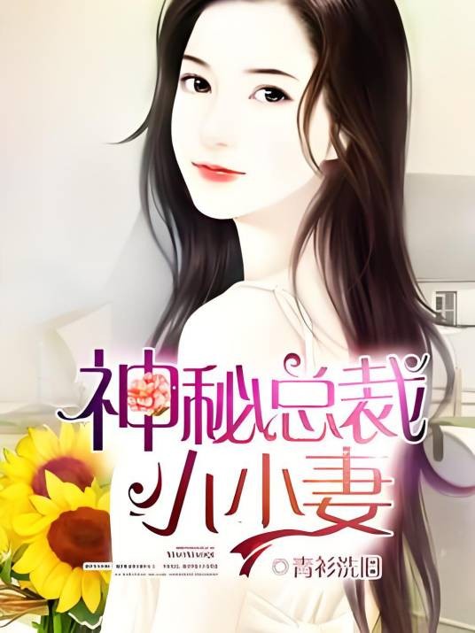 神秘总裁小小妻