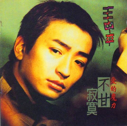 不甘寂寞(1996年王中平演唱的歌曲)