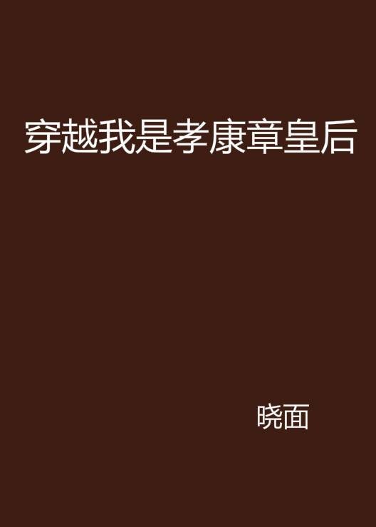 穿越我是孝康章皇后