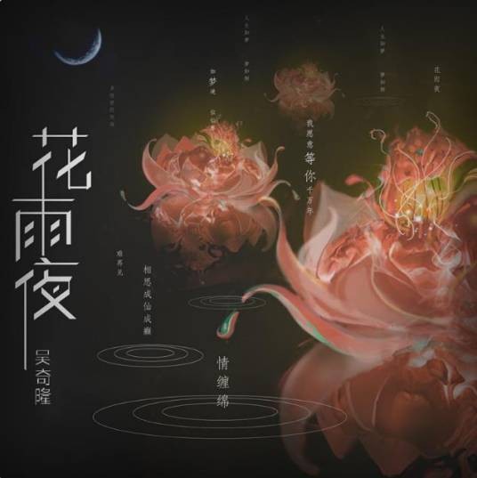 花雨夜（吴奇隆演唱的国语流行歌曲）