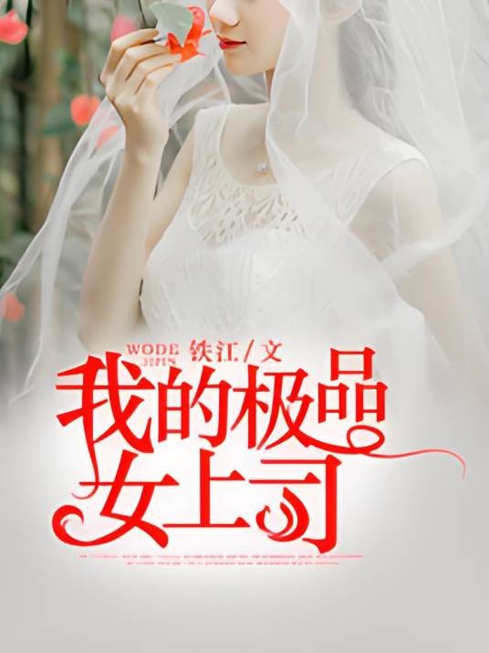 我的极品女上司（铁江创作的小说）