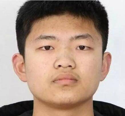 陈文龙（2017年河南理科状元）