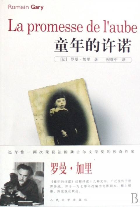 童年的许诺（2008年人民文学出版社出版的图书）