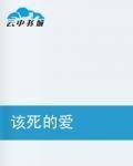 该死的爱（小说）