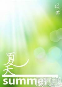 网王_夏天