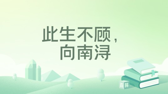 此生不顾，向南浔