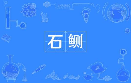 石鲗