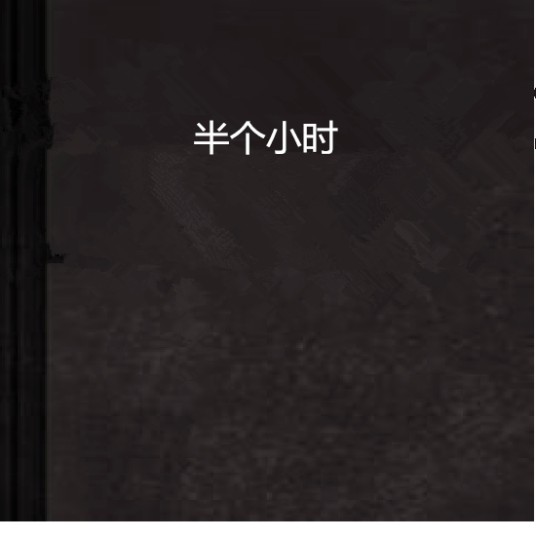 半个小时
