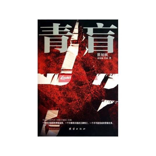 青盲（2011年团结出版社出版的图书）