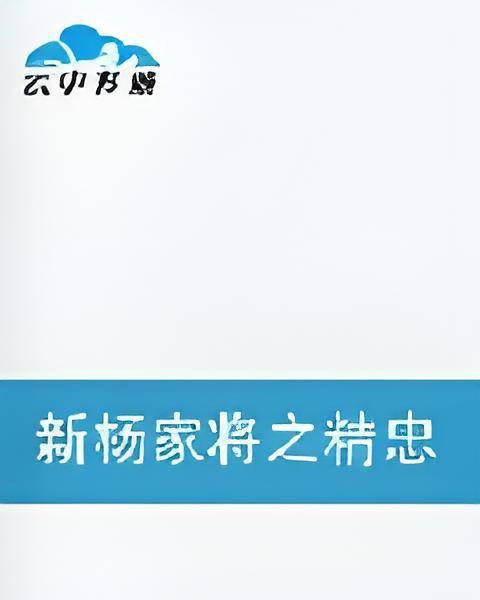 新杨家将之精忠报国