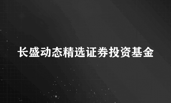 长盛动态精选证券投资基金