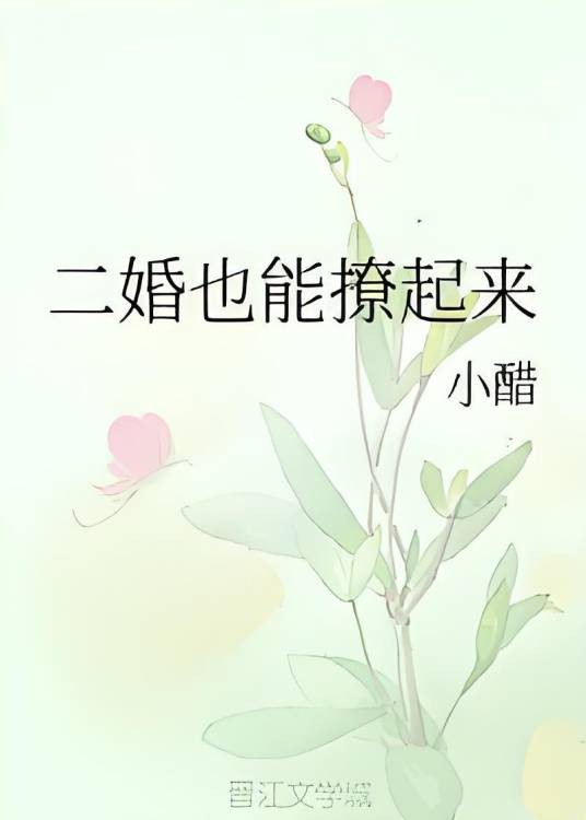 二婚也能撩起来