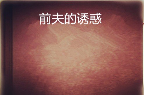 前夫的诱惑（陶乐思创作的网络小说）