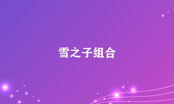 雪之子组合