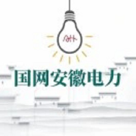 国网安徽省电力有限公司