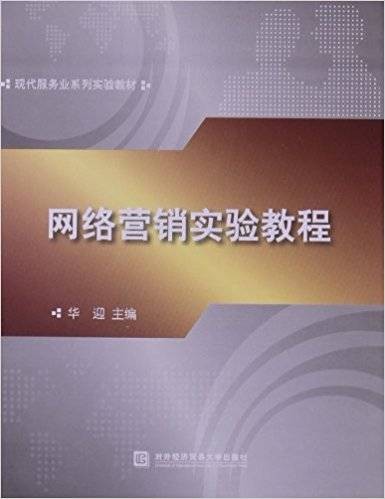 网络营销（2013年对外经济贸易大学出版社出版的图书）