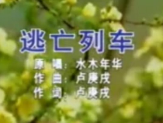 逃亡列车（水木年华演唱歌曲）