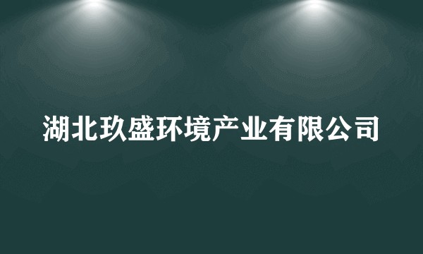 湖北玖盛环境产业有限公司