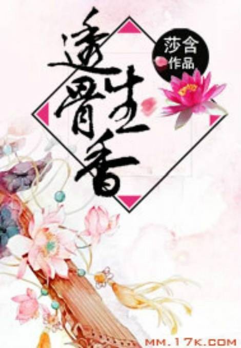 透骨生香（莎含创作的网络小说）
