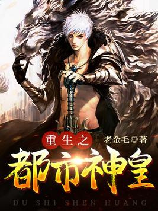 重生之都市神皇（老金毛所著小说）