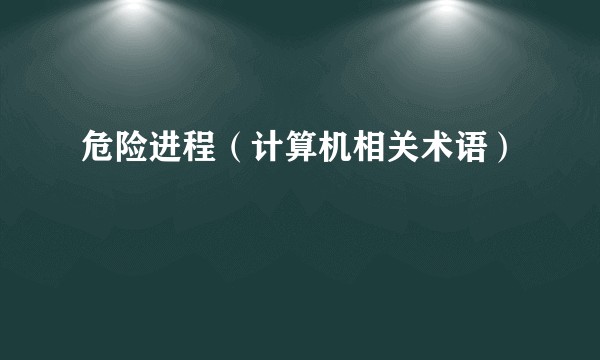危险进程（计算机相关术语）