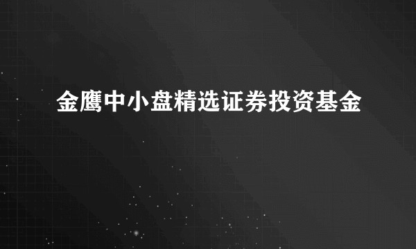 金鹰中小盘精选证券投资基金