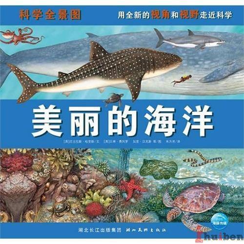 美丽的海洋（2010年湖北美术出版社出版的图书）