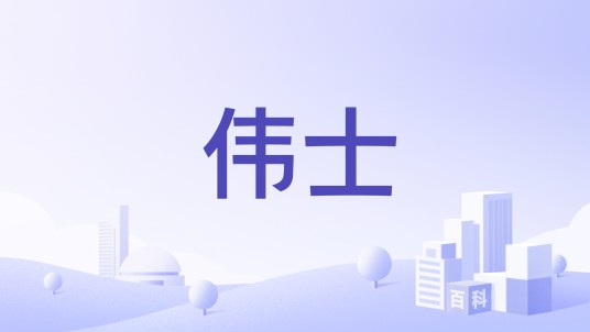 伟士（体育用品品牌）