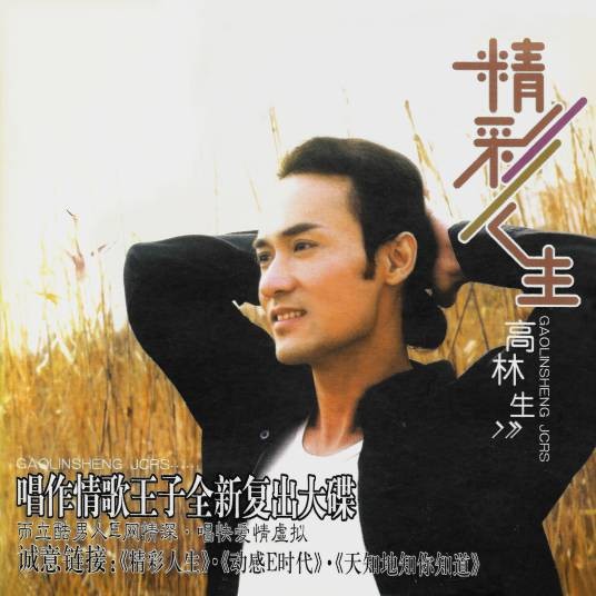 恋恋情深（高林生演唱歌曲）