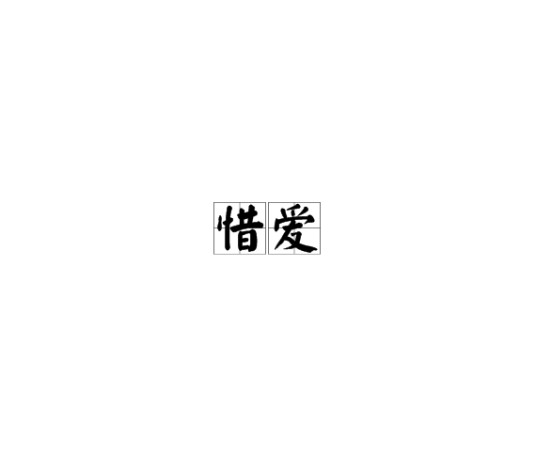 惜爱（汉语词语）