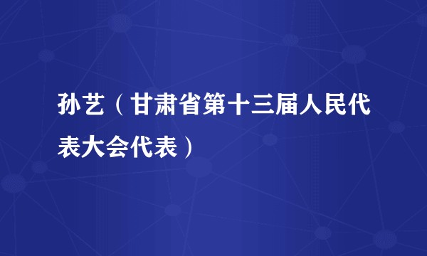 孙艺（甘肃省第十三届人民代表大会代表）