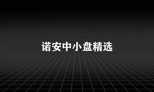 诺安中小盘精选