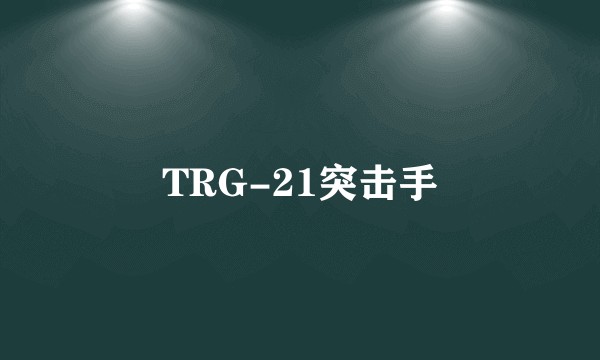 TRG-21突击手