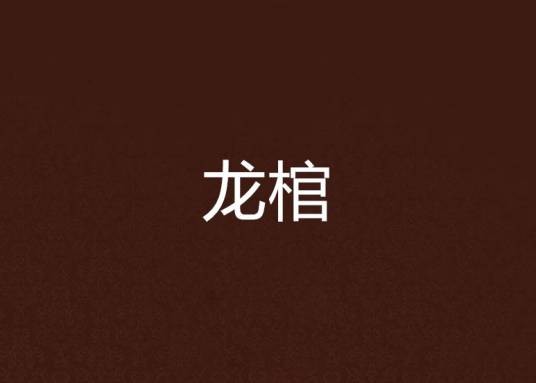 龙棺（小木木创作的仙侠网络小说）