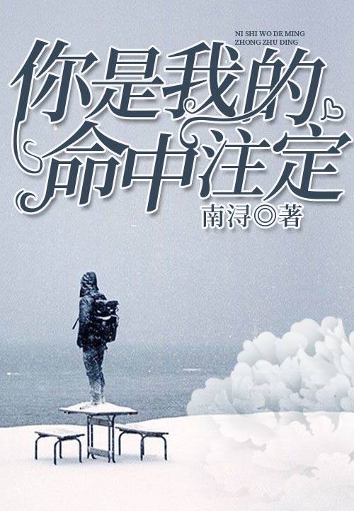 你是我的命中注定（九库文学网小说）